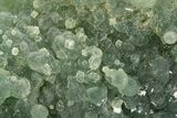 Botryoidal Prehnite and Epidote - Mali #315929-2